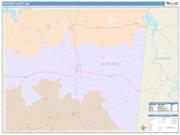 Noxubee <br /> Wall Map <br /> Color Cast Style 2025 Map