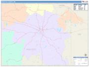 Pontotoc <br /> Wall Map <br /> Color Cast Style 2025 Map