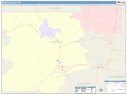 Webster <br /> Wall Map <br /> Color Cast Style 2025 Map