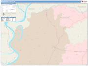 Wilkinson <br /> Wall Map <br /> Color Cast Style 2024 Map