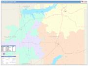 Yalobusha <br /> Wall Map <br /> Color Cast Style 2025 Map