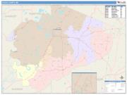 Yazoo <br /> Wall Map <br /> Color Cast Style 2025 Map