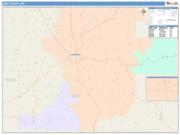 Dent <br /> Wall Map <br /> Color Cast Style 2025 Map