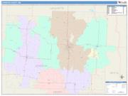 Johnson <br /> Wall Map <br /> Color Cast Style 2025 Map