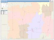 Linn <br /> Wall Map <br /> Color Cast Style 2025 Map