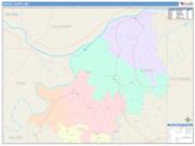 Osage <br /> Wall Map <br /> Color Cast Style 2025 Map