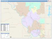 Platte <br /> Wall Map <br /> Color Cast Style 2025 Map