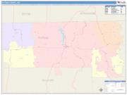 Putnam <br /> Wall Map <br /> Color Cast Style 2025 Map