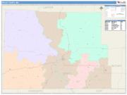 Ripley <br /> Wall Map <br /> Color Cast Style 2025 Map