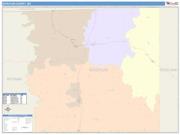 Schuyler <br /> Wall Map <br /> Color Cast Style 2025 Map