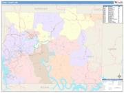 Taney <br /> Wall Map <br /> Color Cast Style 2025 Map