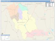 Beaverhead <br /> Wall Map <br /> Color Cast Style 2025 Map