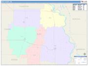 Burt <br /> Wall Map <br /> Color Cast Style 2025 Map