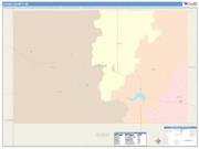 Chase <br /> Wall Map <br /> Color Cast Style 2025 Map