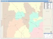Custer <br /> Wall Map <br /> Color Cast Style 2025 Map