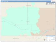 Deuel <br /> Wall Map <br /> Color Cast Style 2025 Map