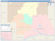 Platte <br /> Wall Map <br /> Color Cast Style 2025 Map