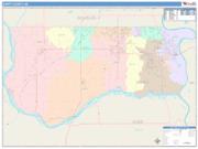 Sarpy <br /> Wall Map <br /> Color Cast Style 2025 Map