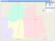 Wayne <br /> Wall Map <br /> Color Cast Style 2025 Map