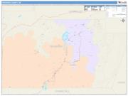 Pershing <br /> Wall Map <br /> Color Cast Style 2025 Map