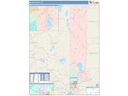 Washoe <br /> Wall Map <br /> Color Cast Style 2025 Map