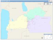 Carson City <br /> Wall Map <br /> Color Cast Style 2025 Map