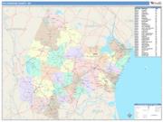 Rockingham <br /> Wall Map <br /> Color Cast Style 2025 Map