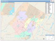 Sussex <br /> Wall Map <br /> Color Cast Style 2025 Map