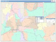 Broome <br /> Wall Map <br /> Color Cast Style 2025 Map