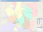 Chemung <br /> Wall Map <br /> Color Cast Style 2025 Map