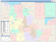 Madison <br /> Wall Map <br /> Color Cast Style 2025 Map