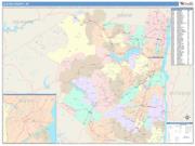 Ulster <br /> Wall Map <br /> Color Cast Style 2025 Map