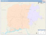 Alexander <br /> Wall Map <br /> Color Cast Style 2025 Map