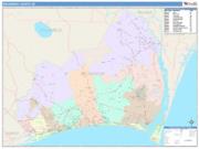 Brunswick <br /> Wall Map <br /> Color Cast Style 2025 Map