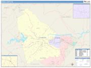 Burke <br /> Wall Map <br /> Color Cast Style 2025 Map
