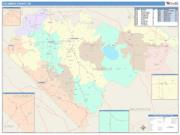 Columbus <br /> Wall Map <br /> Color Cast Style 2025 Map