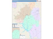 Davidson <br /> Wall Map <br /> Color Cast Style 2025 Map