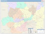 Forsyth <br /> Wall Map <br /> Color Cast Style 2025 Map