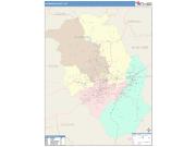 Haywood <br /> Wall Map <br /> Color Cast Style 2025 Map