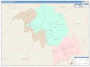 Mitchell <br /> Wall Map <br /> Color Cast Style 2025 Map
