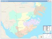 Pamlico <br /> Wall Map <br /> Color Cast Style 2025 Map