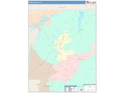 Person <br /> Wall Map <br /> Color Cast Style 2025 Map