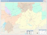 Rockingham <br /> Wall Map <br /> Color Cast Style 2025 Map