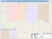 Divide <br /> Wall Map <br /> Color Cast Style 2025 Map
