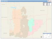 Grant <br /> Wall Map <br /> Color Cast Style 2025 Map
