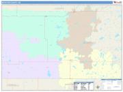 McIntosh <br /> Wall Map <br /> Color Cast Style 2025 Map