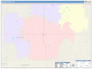 Ransom <br /> Wall Map <br /> Color Cast Style 2025 Map