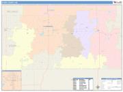 Stark <br /> Wall Map <br /> Color Cast Style 2025 Map