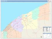 Lake <br /> Wall Map <br /> Color Cast Style 2025 Map