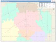 Paulding <br /> Wall Map <br /> Color Cast Style 2025 Map